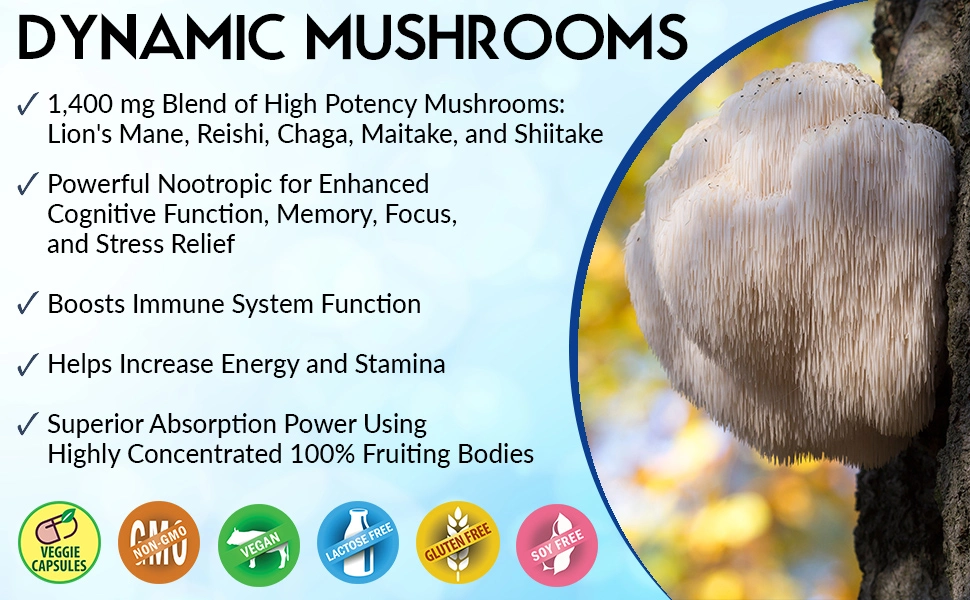 Stonehenge Health Dynamic Mushrooms Review: 1 Exploring Benefits and Side Effects