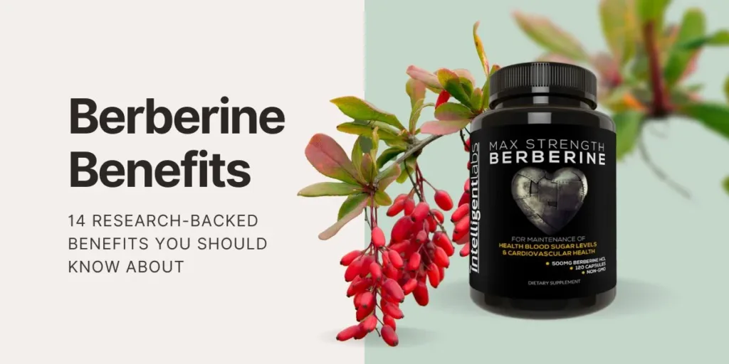 The Best Berberine For Weight Loss Supplement: Health And Fitness Benefits Weight Loss 2024