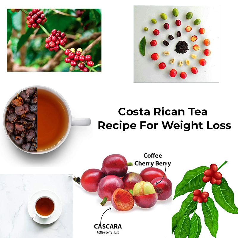 Costa Rican Tea Recipe for Weight Loss and Better Health Benefits: Understanding a Clear Recipe in 2024